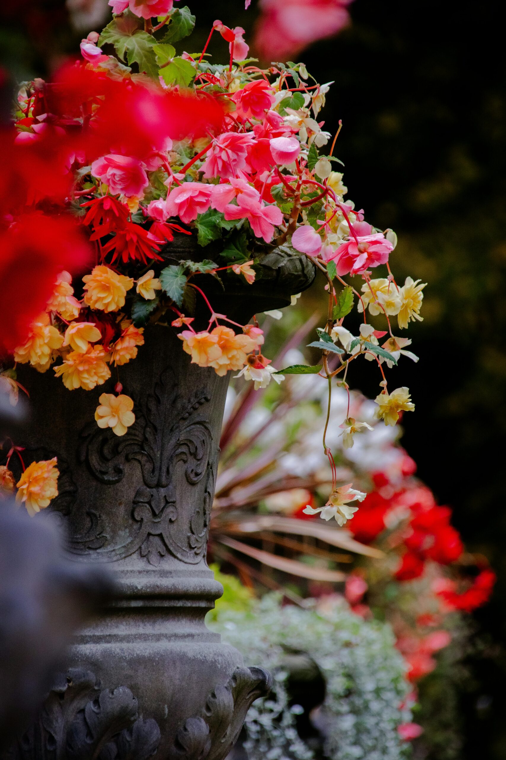 Welcome to Mindfulish Anxiety and Trauma Coaching